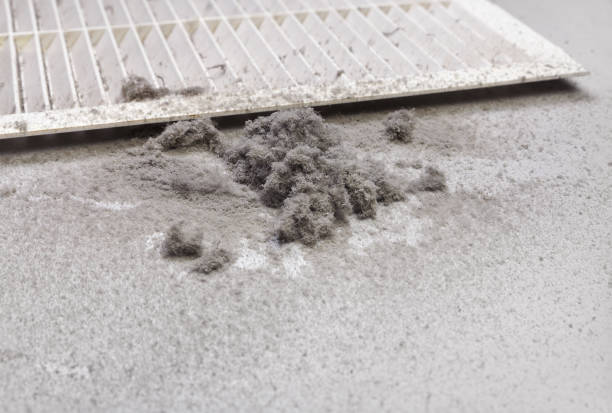 Best Affordable HVAC Duct Cleaning  in Loogootee, IN