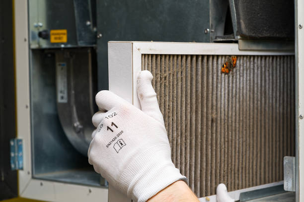 Best Ductwork Cleaning Services  in Loogootee, IN