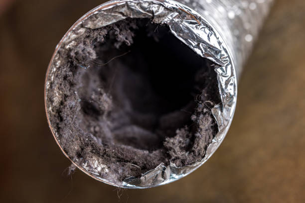 Best HVAC System Cleaning  in Loogootee, IN