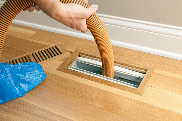 Best Air Duct Cleaning Near Me  in Loogootee, IN