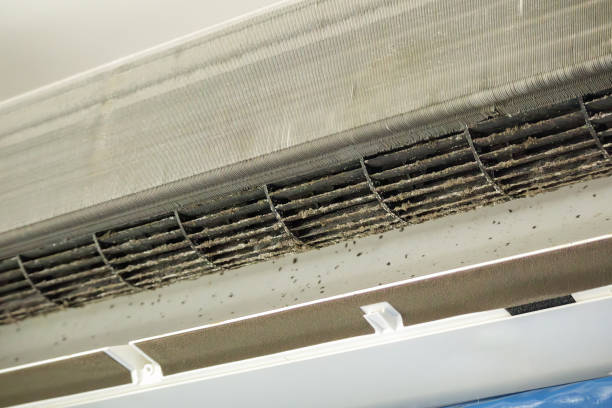  Loogootee, IN Airduct Cleaning Pros